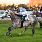 Khataab winning Zayed Cup