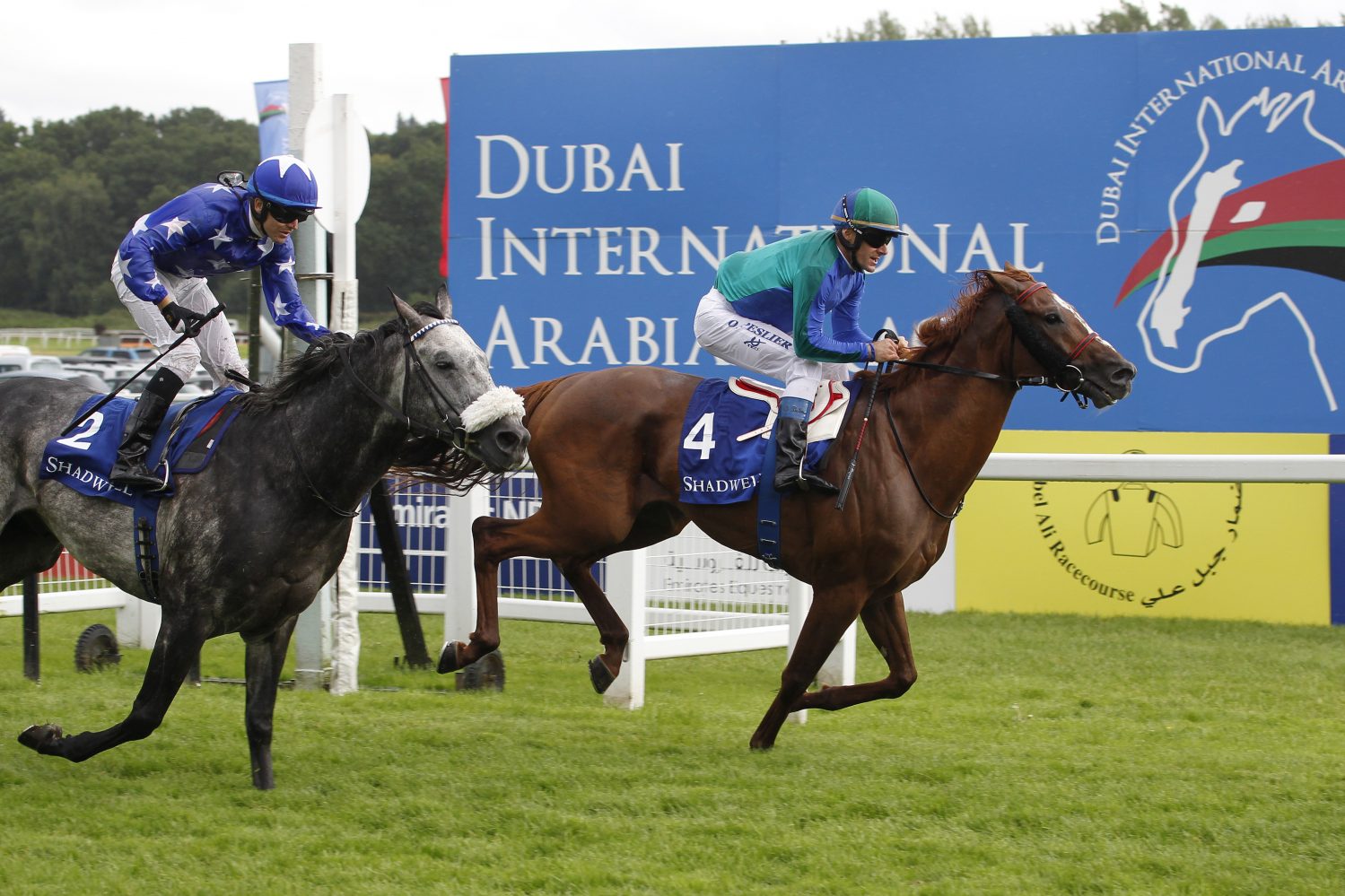 Lightning Bolt over Gazwan in the finish.