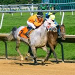 Easter Man winning The Delaware Park Arabian Classic