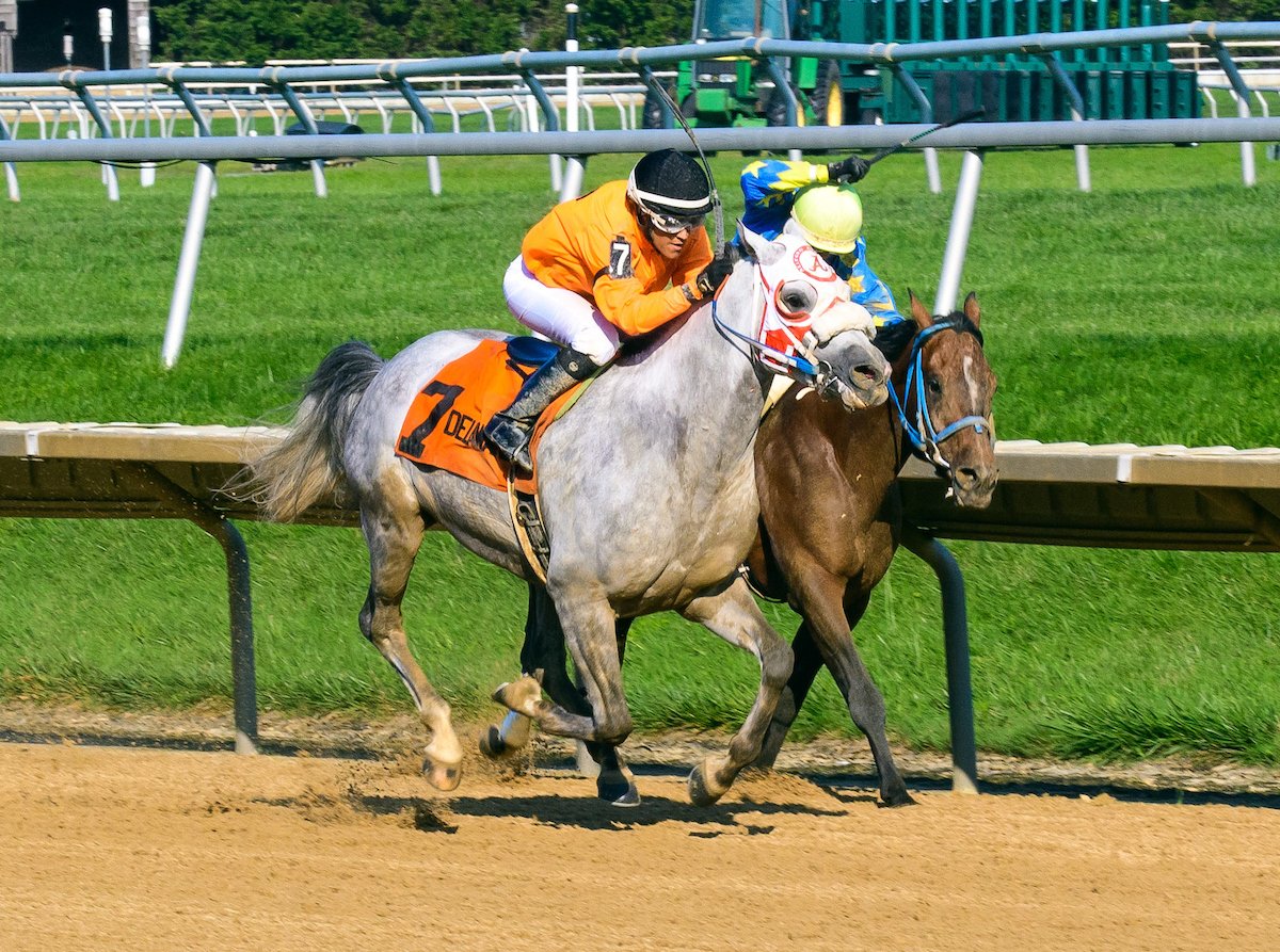 Easter Man winning The Delaware Park Arabian Classic