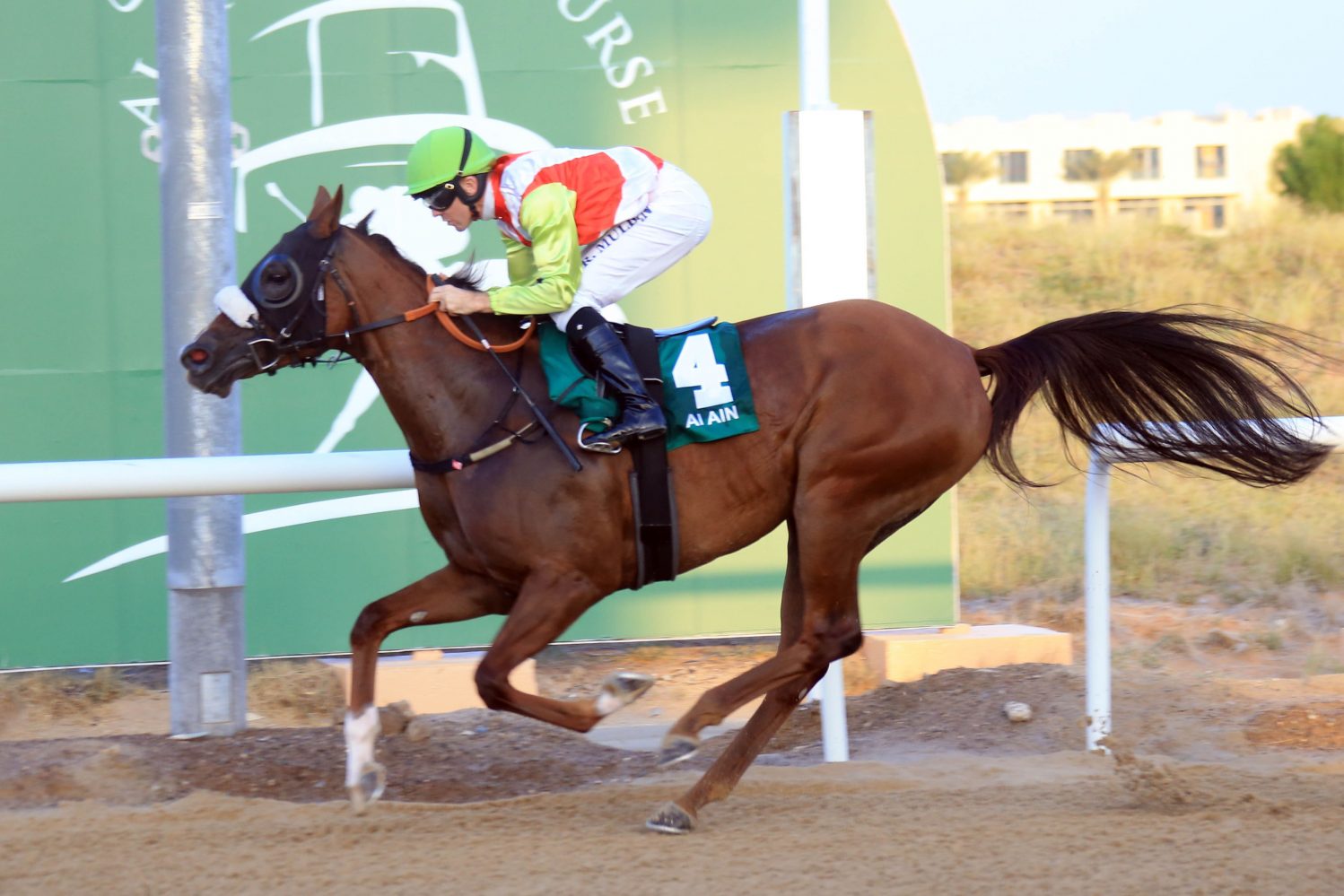 More Hope wins Wathba Stallions Cup