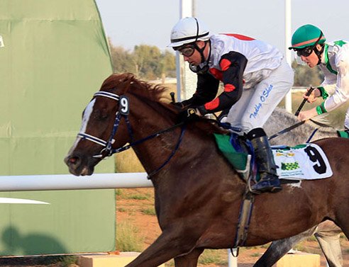 O'Shea winning at Al Ain (file photo 2017)