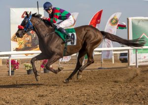 Dalbark winning the 2018 Apprentice race in Oman