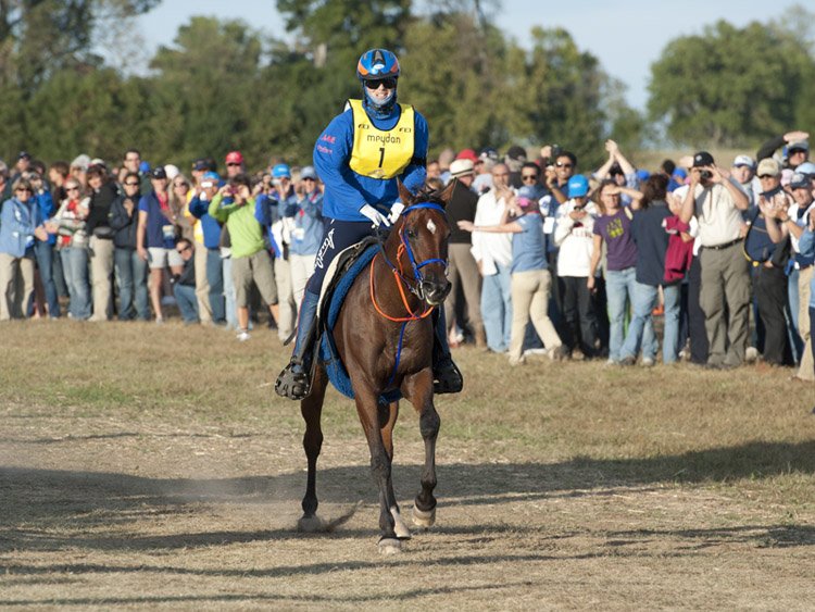 Maria Alvarez Ponton arriving first in endurance at WEG 2010 photo: Pamela Burton