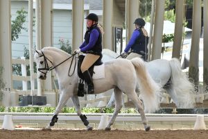 Dr.-Susanne-Lanini-Just-In-Kayce-dressage