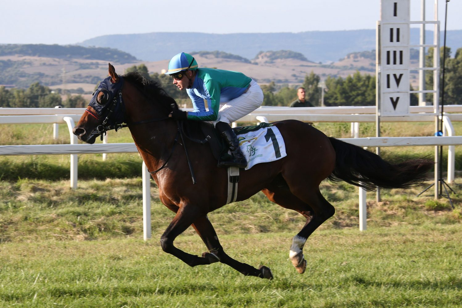 Akoya winning the Sheikh Zayed Cup in Italy