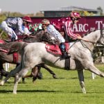 MARID Winning QATAR ARABIAN TROPHY DES POULAINS at Saint Cloud Race course_3.jpg