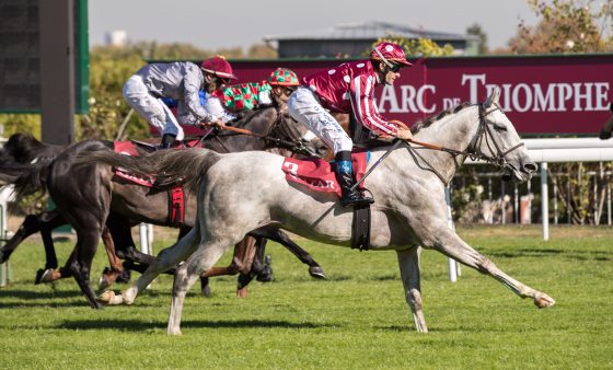 MARID Winning QATAR ARABIAN TROPHY DES POULAINS at Saint Cloud Race course_3.jpg