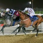 DIESE wins Al Ruwais Cup