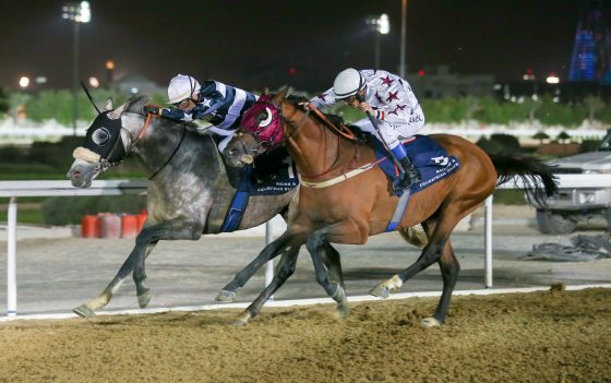 DIESE wins Al Ruwais Cup