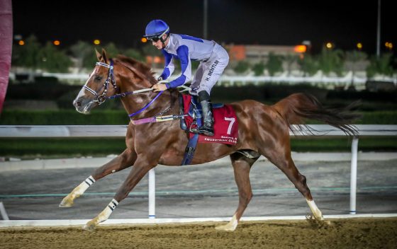 SPAGHETTI Winner of AL DAAYEN CUP