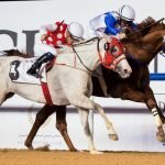 AS Ajeeb (chestnut) wins at Meydan - file photo