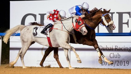 AS Ajeeb (chestnut) wins at Meydan - file photo