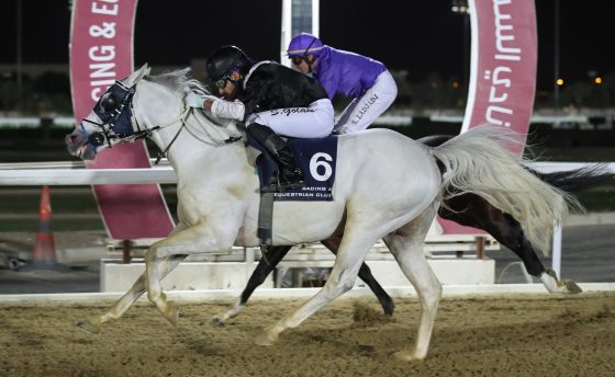 RAQEE winner of THE LATE RASHID MUBARAK AL SHAFI CUP