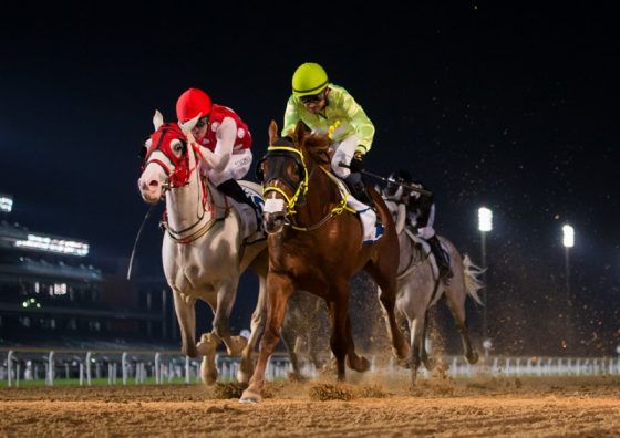 Goshawke over Mawahib in the 2200m R2Al Maktoum Challenge on 31-1-19