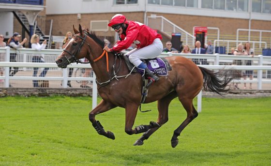 Motor Edd ridden by 15-year-old Megan Bevan