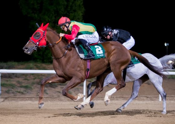 Duc de Faust win November 2019 Al Ain