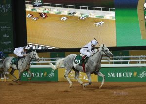 Tallab Al Khalidiah, winner of Obaiya Arabian Cup, Riyadh, 29 February. Photo Pamela Burton