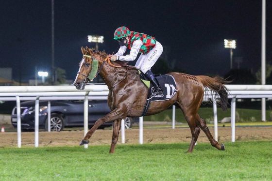 SOMOUD (FR) ridden by Richard Mullen wins the Sheihk bin Sultan Al Nayan Jewel Crown Prep, race 4, at Abu Dhabi, UAE