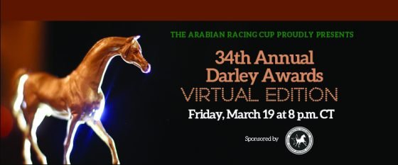 Darley Awards 2020