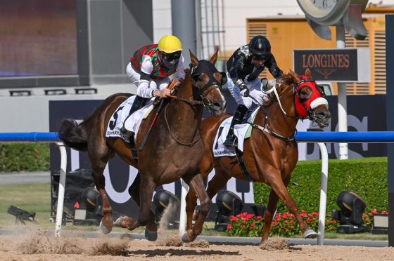 French runner Deryan takes the Dubai Kahayla Classic in a rapid time at Meydan (Credit - DRC & Mathea Kelley)