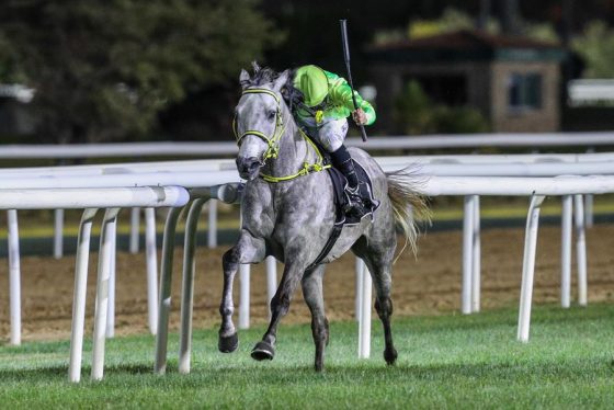 Ottoman wins the Arabian Triple Crown R3(credit: Emirates Racing Authority)