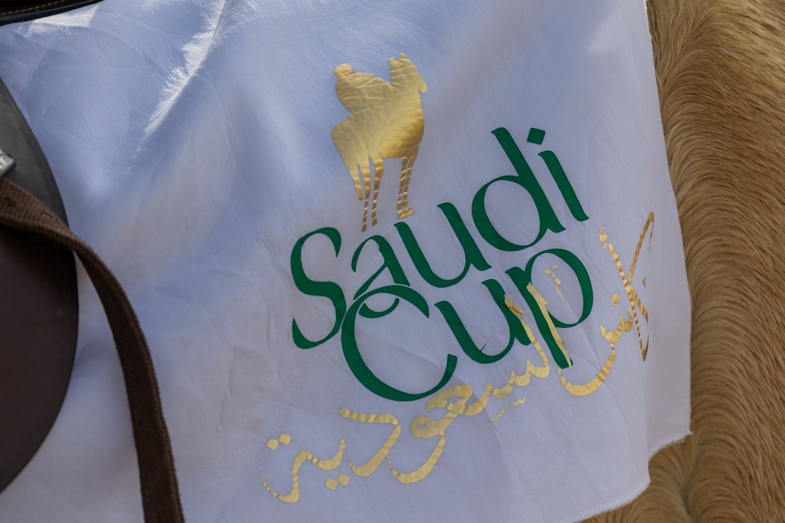 Saudi Cup Day Obaiyah Classic Track Works Trainer Comments