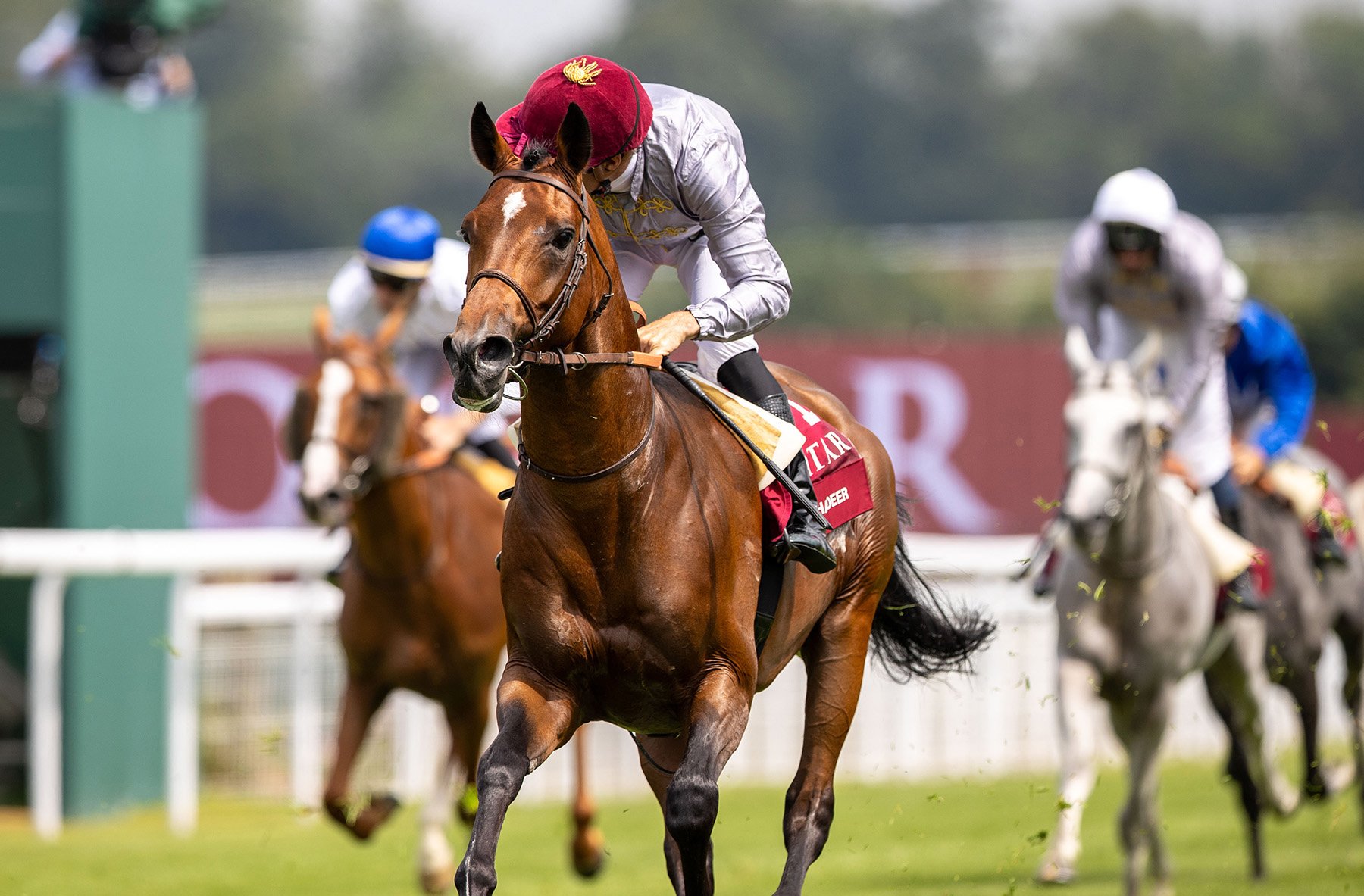 +Al Ghadeer Photos Qatar International Stakes at the Qatar Goodwood Festival 2024 by Juhaim