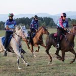 FEI Endurance Championship Test Event