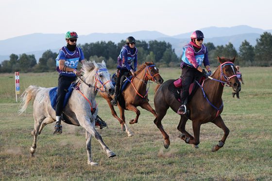 FEI Endurance Championship Test Event