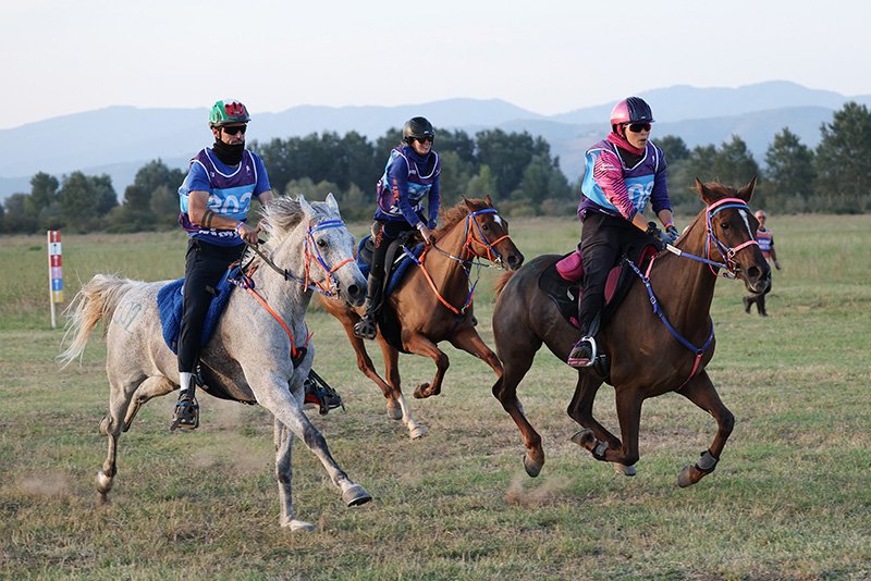 FEI Endurance Championship Test Event