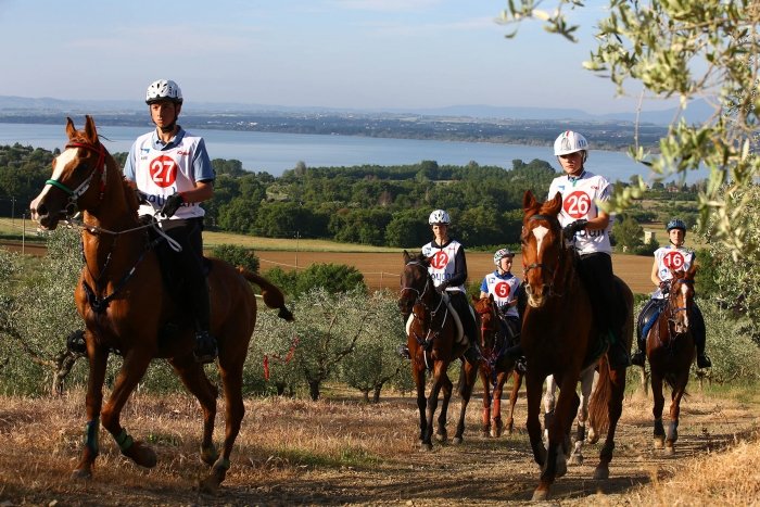 FEI Endurance Perugia